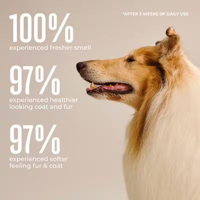 WagWell Daily Hypoallergenic Dog Grooming Wipes – Fragrance-Free