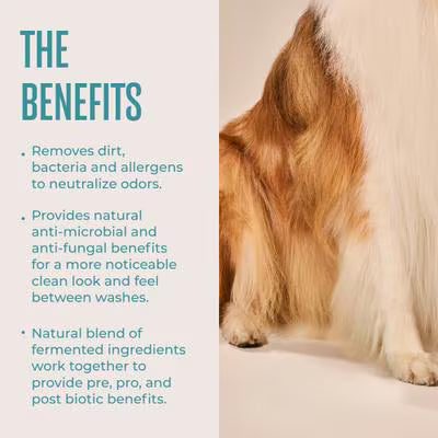 WagWell Daily Hypoallergenic Dog Grooming Wipes – Fragrance-Free