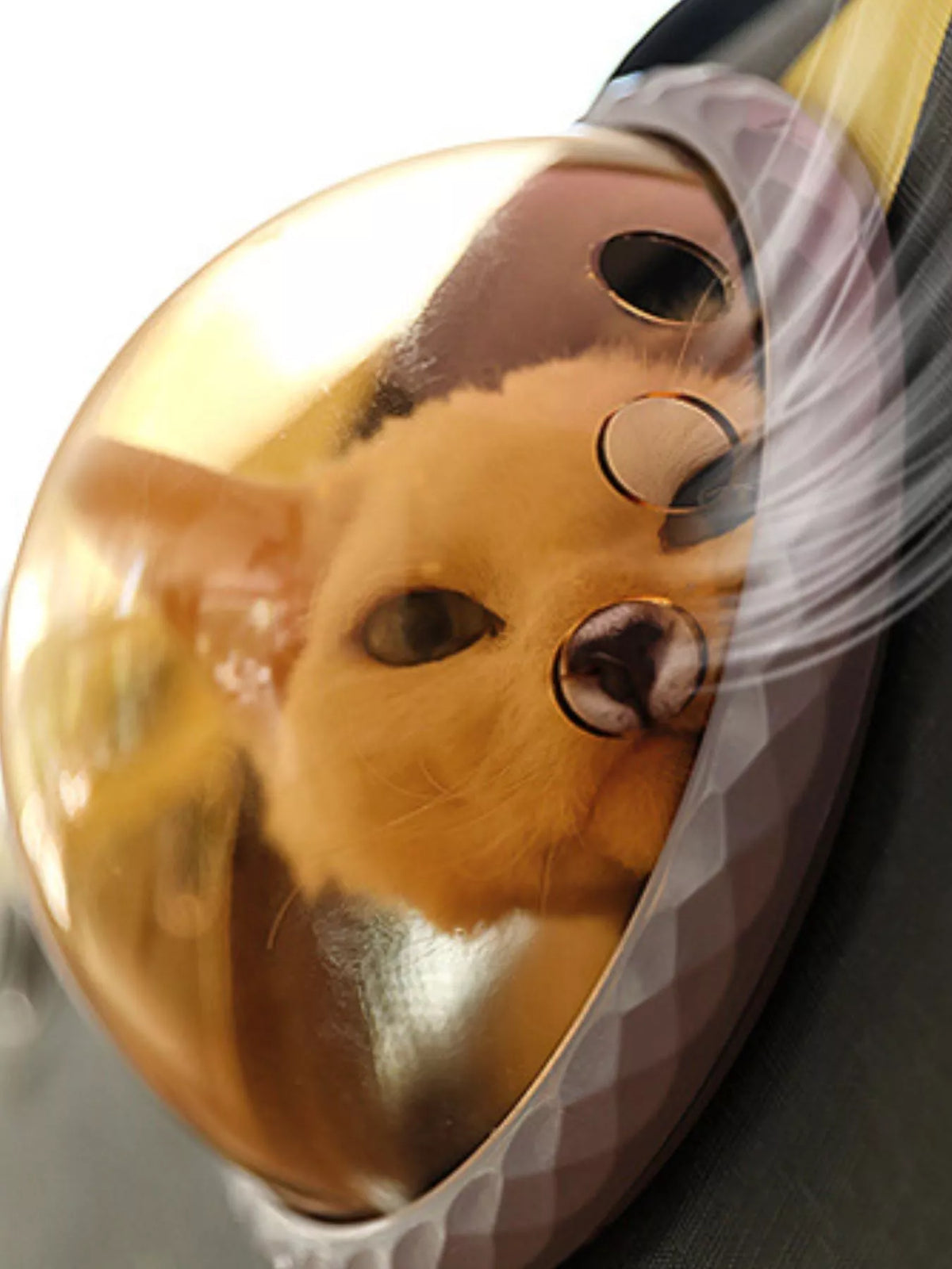 Portable Bubble Window Pet Carrier Bag
