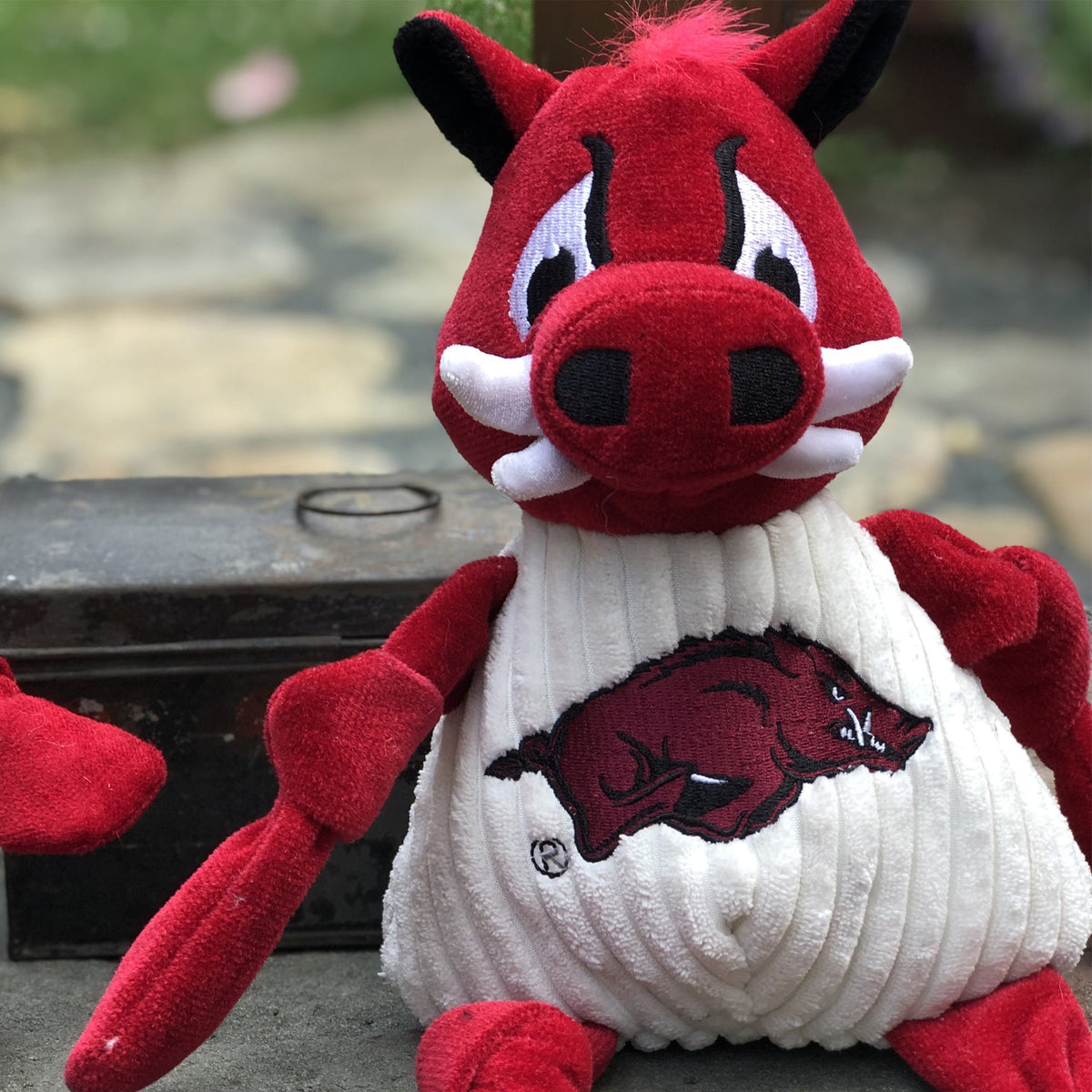 NCAA University of Arkansas, Tusk the Razorback Knottie® Plush Dog Toy