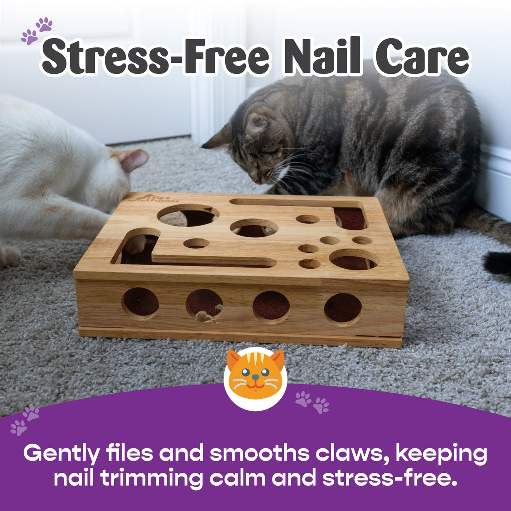 *The Original* Cat Nail File Enrichment Box