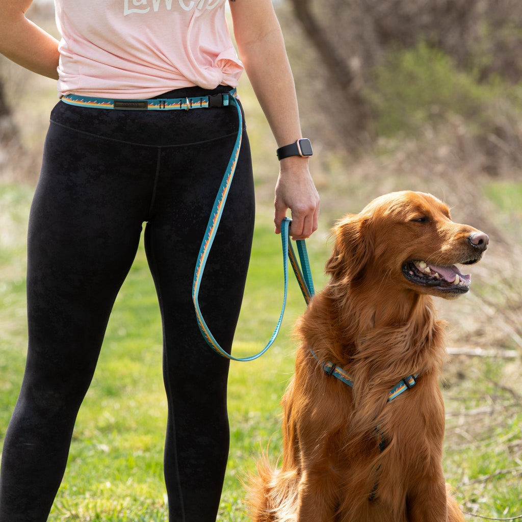Adjustable Hands-Free Leash 3/4''