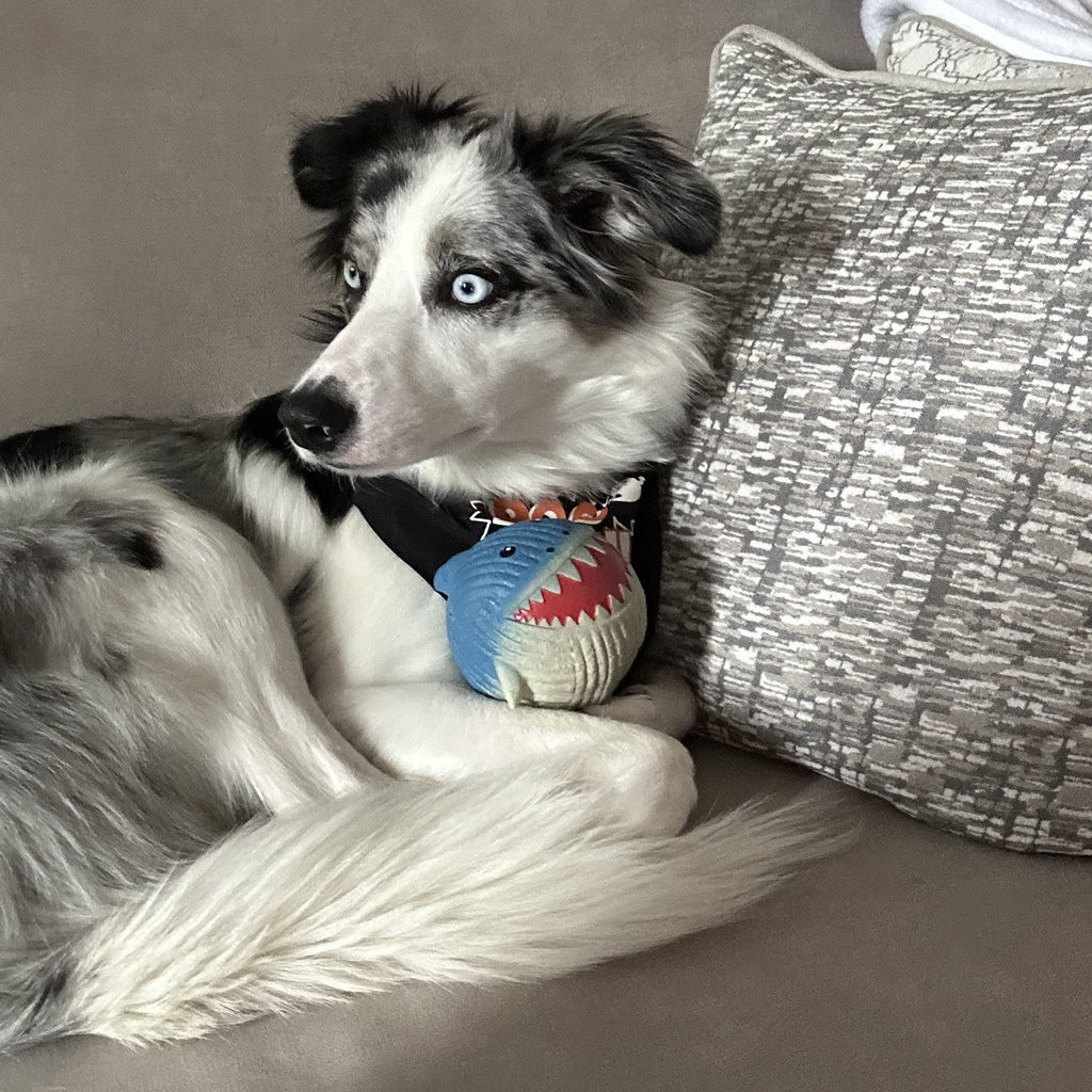 Finn the Shark Ruff-Tex® Latex Ball Dog Toy, Large