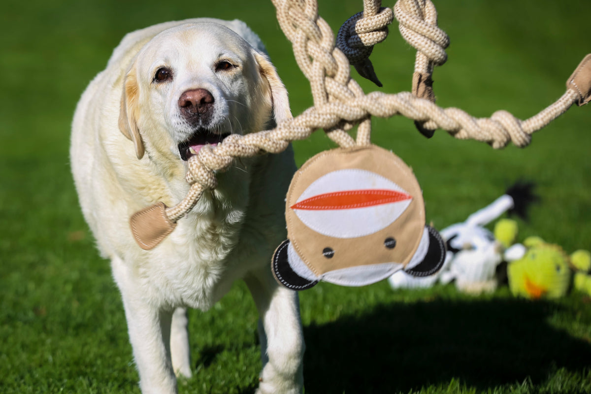 Stuey Sock Monkey Natural Rope Knottie® Dog Toy, Large (9mm rope diameter)