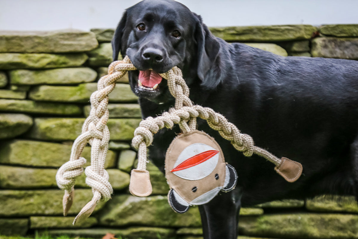 Natural Rope Knottie® Dog Toys, 3 Pack, XL (16mm rope diameter)