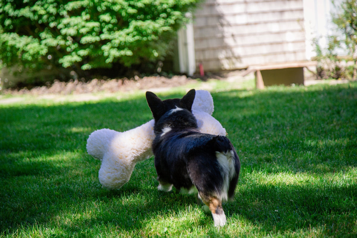 HuggleFleece® 2' Plush Bone Dog Toy