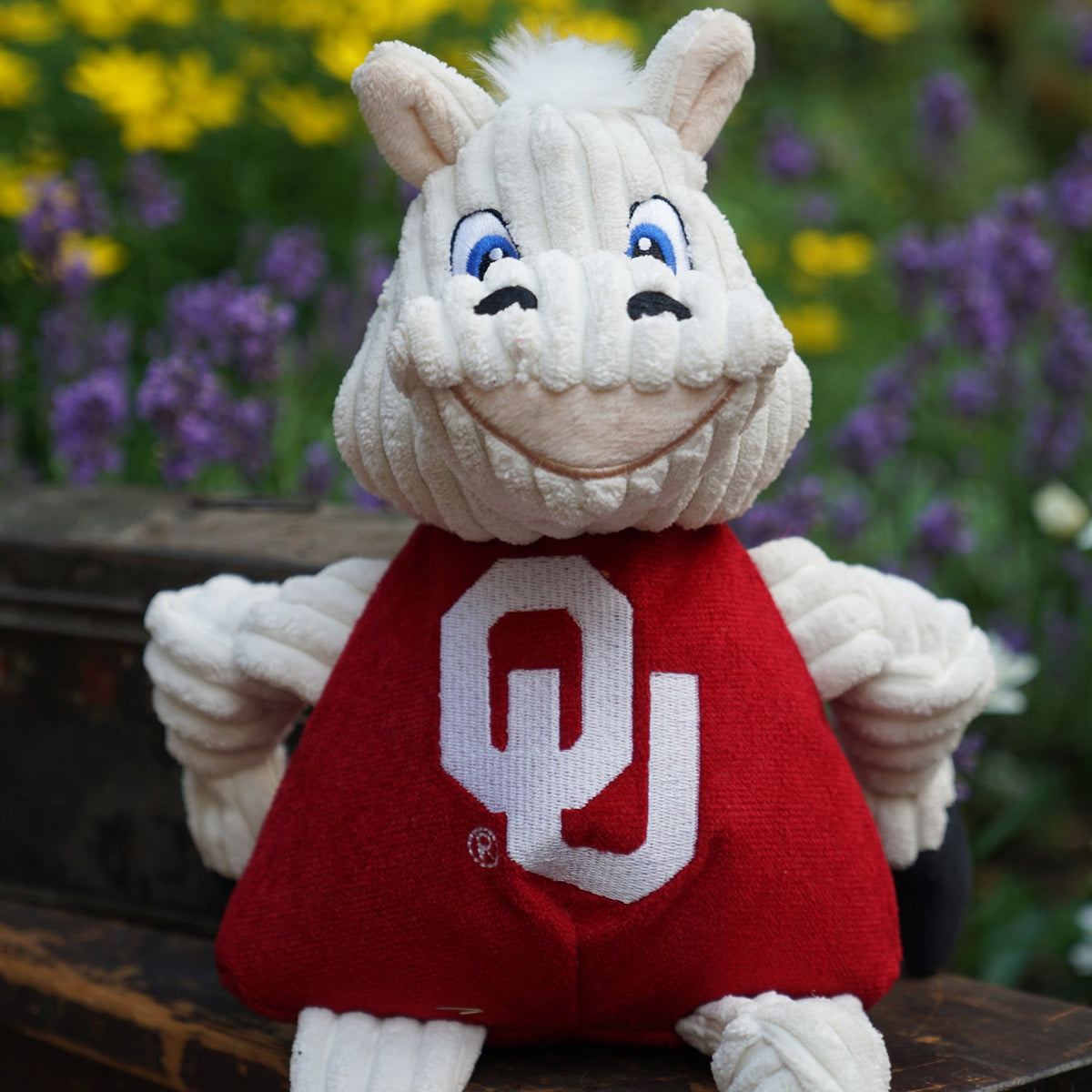 NCAA University of Oklahoma, Sooner Knottie® Plush Dog Toy