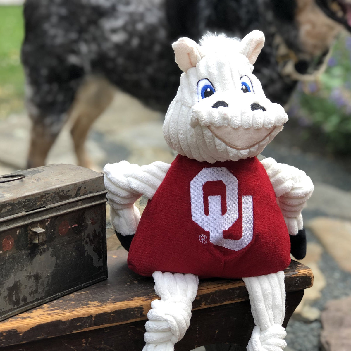NCAA University of Oklahoma, Sooner Knottie® Plush Dog Toy