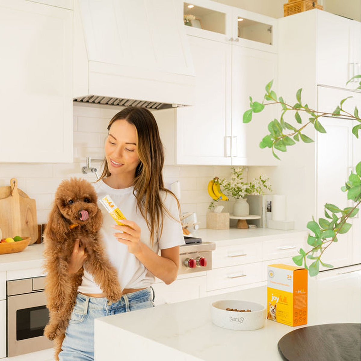 Prebiotic Chicken Squeeze Treats for Dogs - 24 Packets