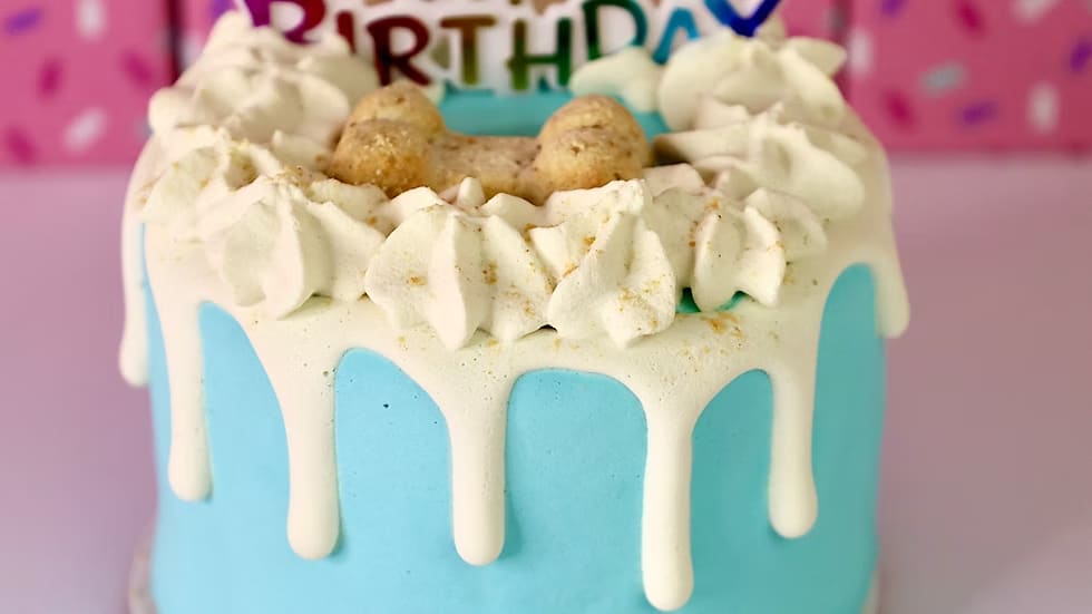 Dog Cakes | Dog Birthday Cakes | 4 Inch Drip Cake