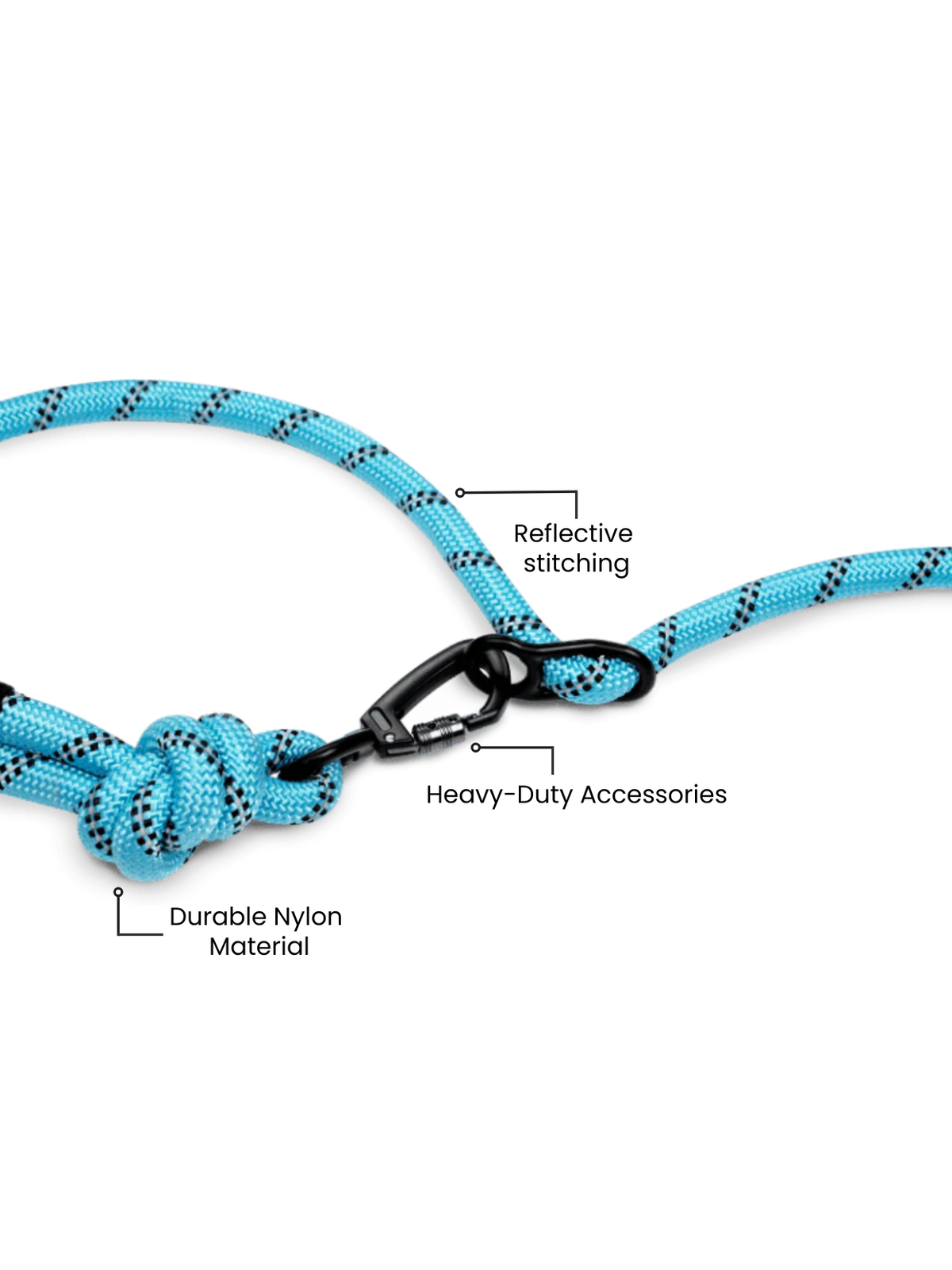 Aqua Blue Runners Hands-Free Dog Leash