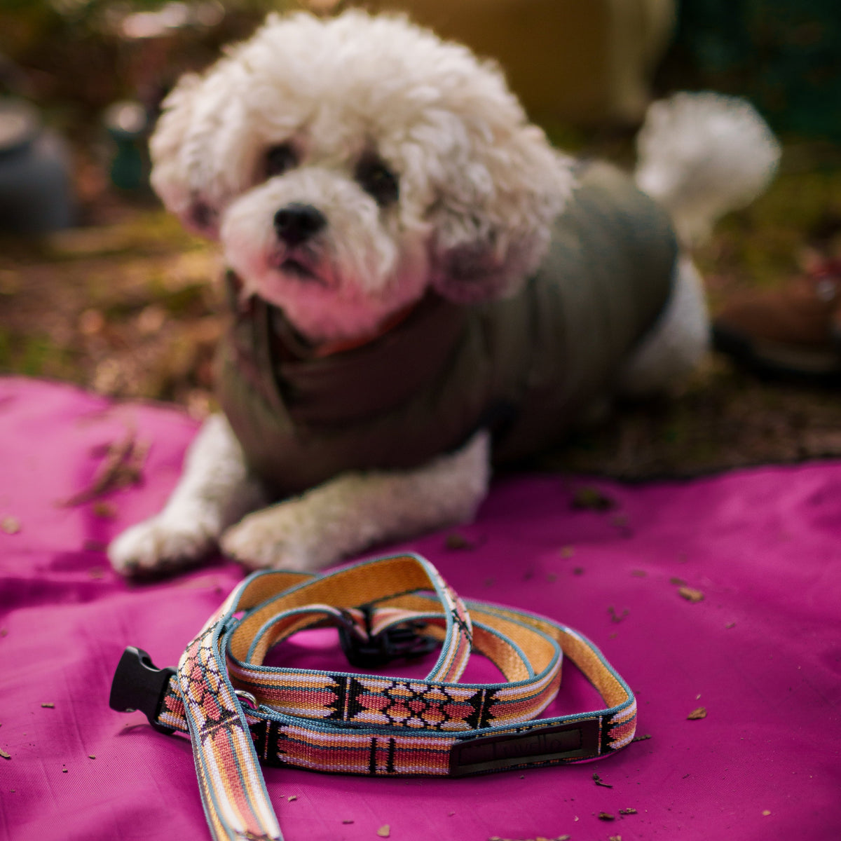 Adjustable Hands-Free Leash 3/4''