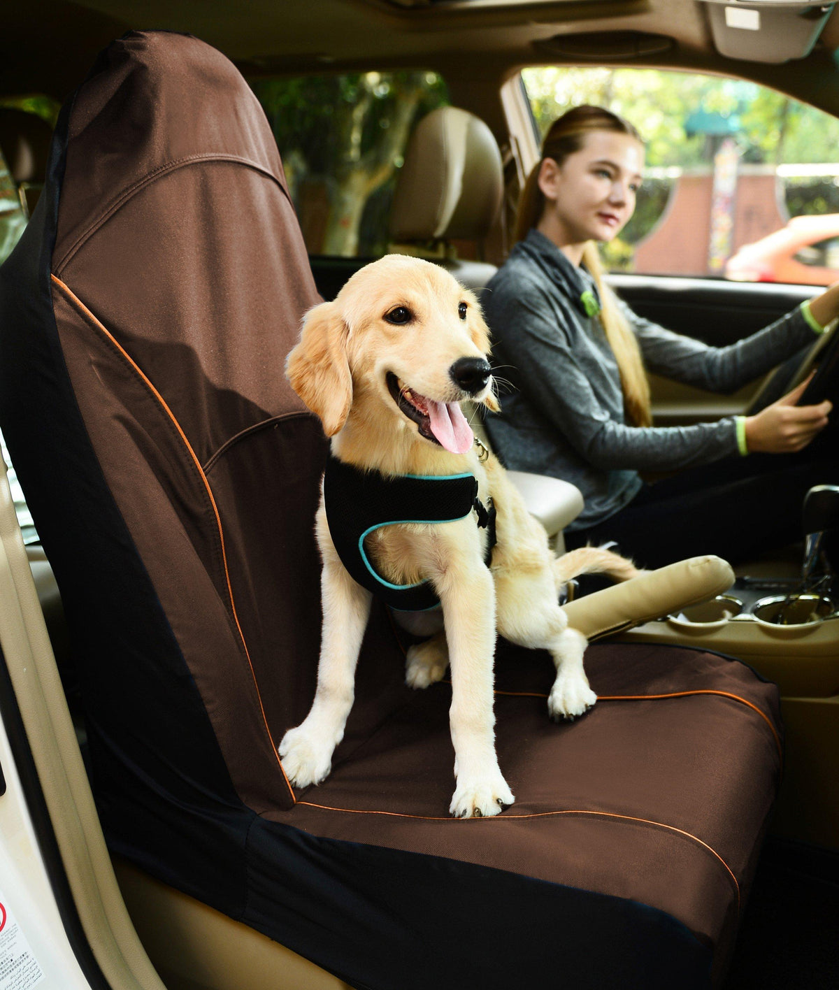 Pet Life ® 'Open Road' Single Seated Safety Child Pet Cat Dog Car Seat Carseat Cover Protector