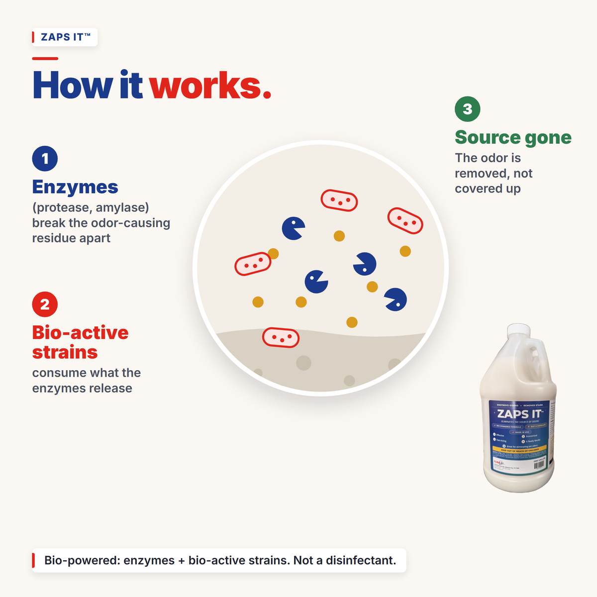 Zaps It Enzyme Pet Odor Eliminator & Stain Remover — 1 Gallon Concentrate